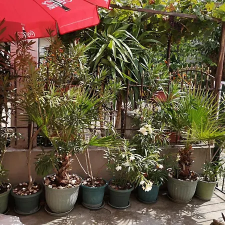 Affittacamere Ropotamo Primorsko